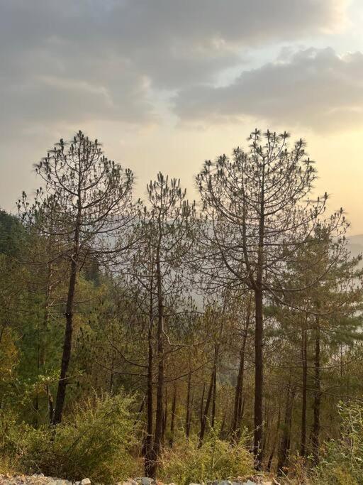 Residence Inn Homestay Shimla Ngoại thất bức ảnh