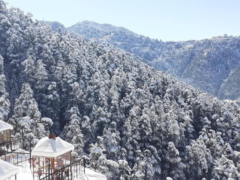 Residence Inn Homestay Shimla Ngoại thất bức ảnh